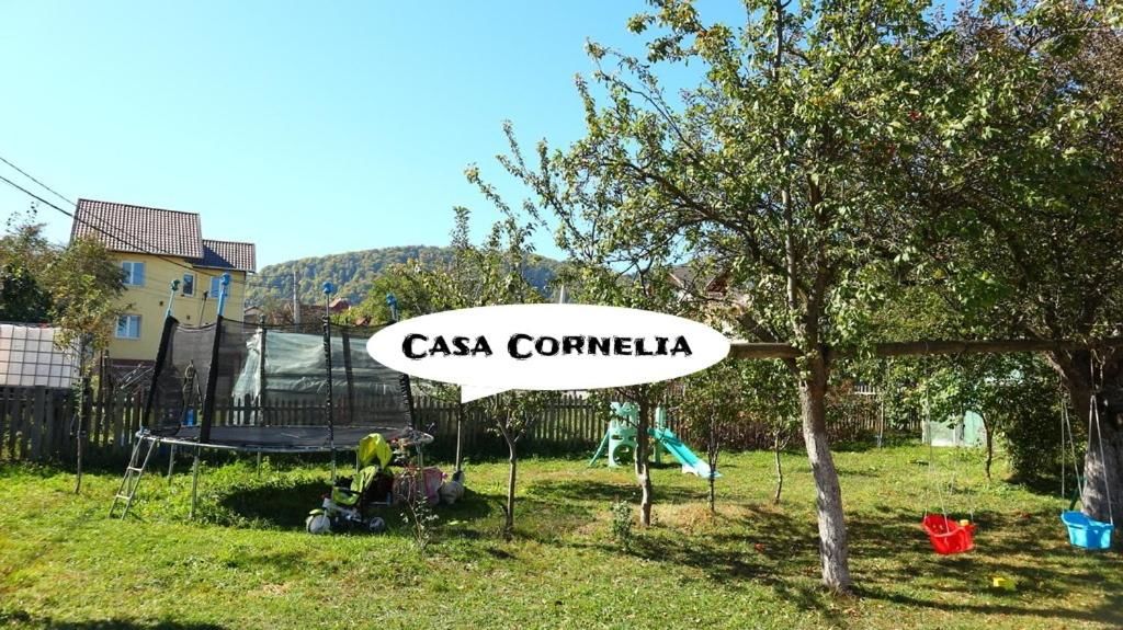 Лоджи Casa Cornelia Бран-5